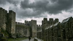 How to Protect Bitcoin Holdings During Market Volatility